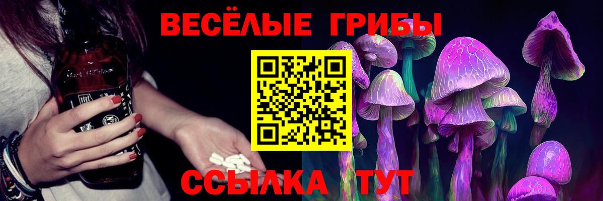 как найти закладки  Псилоцибиновые грибы мухоморы  Вход с VPN  Краснодар  Псилоцибиновые грибы Cubensis 